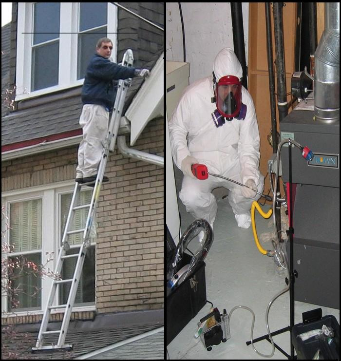 Ed Lampl: Environmental Testing, Home Inspections, and Mold Inspections