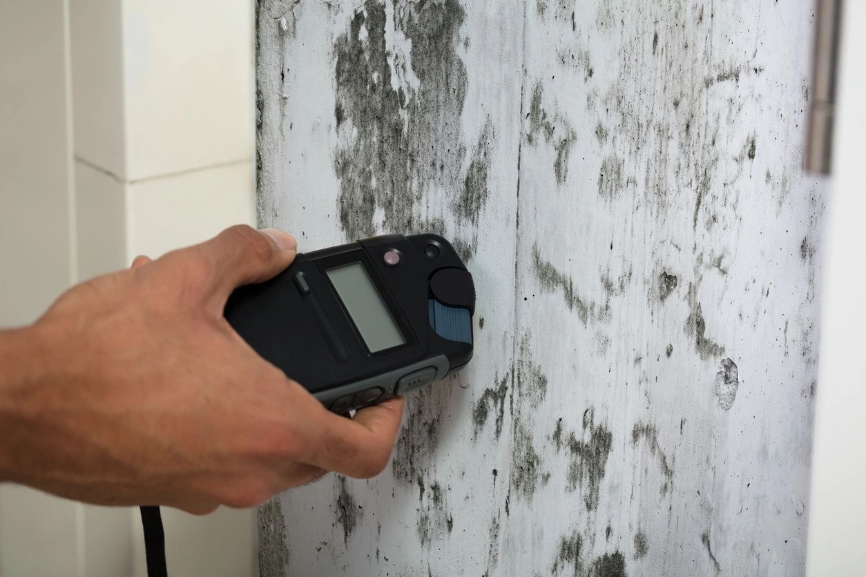 Ed Lampl: Environmental Testing, Home Inspections, and Mold Inspections